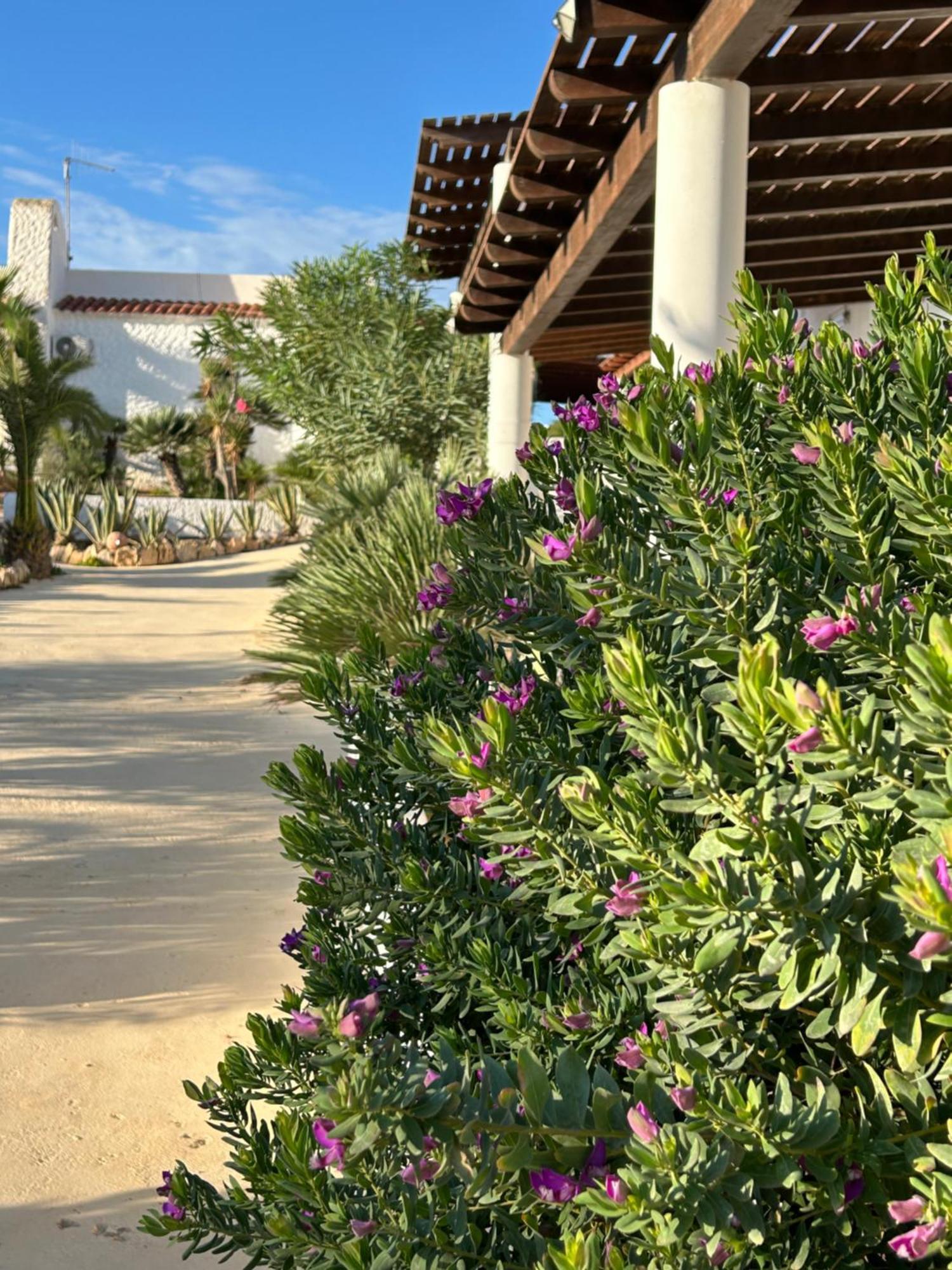 Hotel Oasi Di Casablanca LMP Exterior foto
